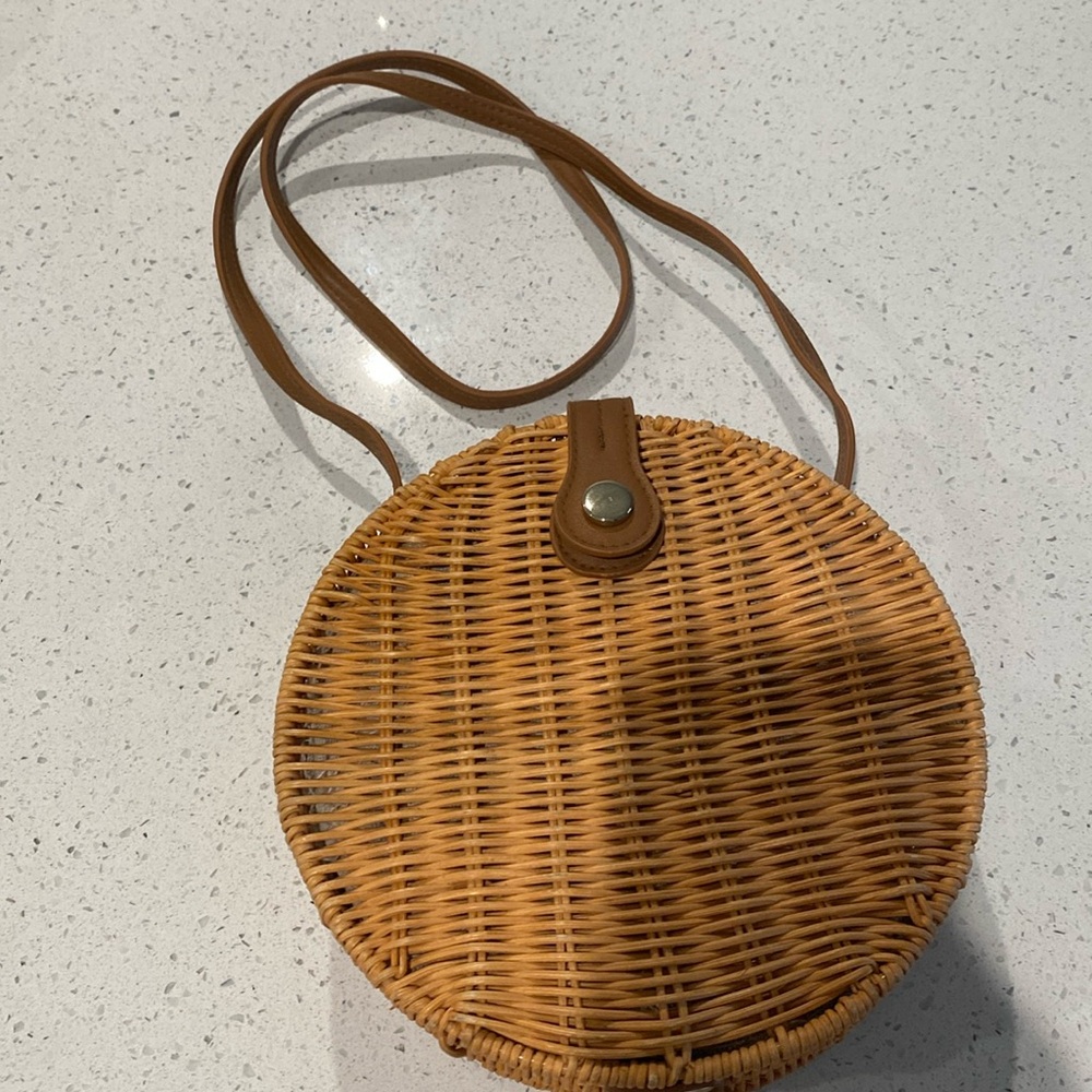 Zara Straw Purse